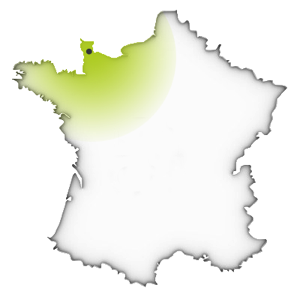 Apis Brix Normandie APIS Bois